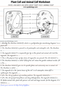 Label The Parts Of An Animal Cell Worksheet Answer Key