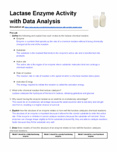 Lactase Enzyme Lab Worksheet