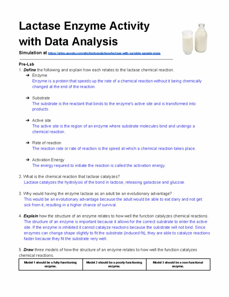Lactase Enzyme Lab Worksheet
