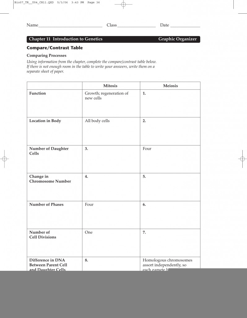 Language Of Genetics Worksheet Answers Language Worksheets
