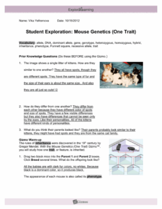 Lets Clone A Mouse Worksheet Answers Printable Calendars AT A GLANCE