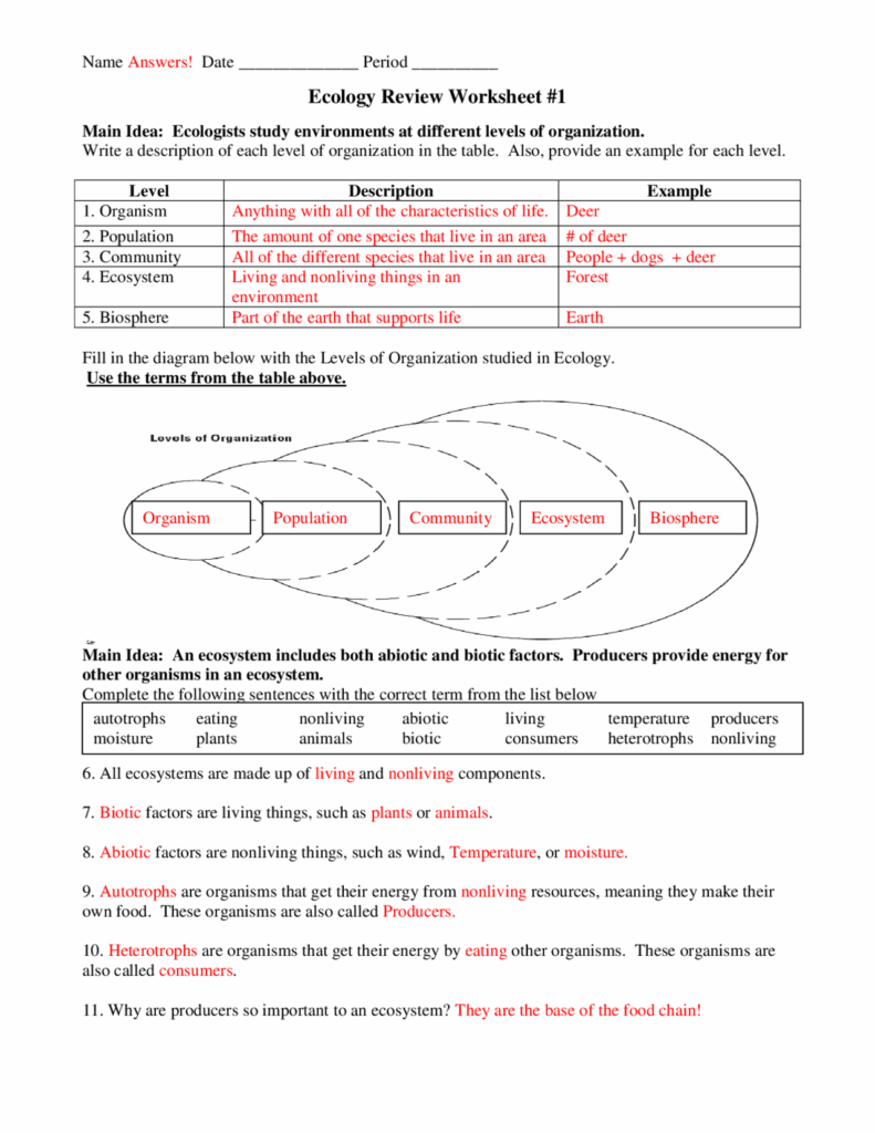 Levels Of Ecological Organization Worksheet