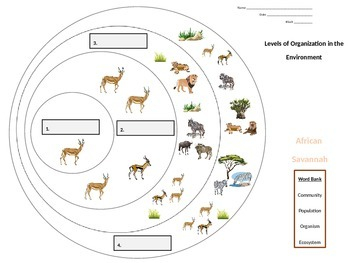 Levels Of Ecological Organization Worksheet