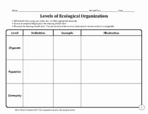 Levels Of Ecological Organization Worksheet