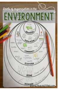 Levels Of Ecological Organization Worksheet