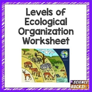 Levels Of Ecological Organization Worksheet Science Lessons 