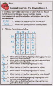 Life Science Genetics Dihybrid Crosses Worksheet Answers
