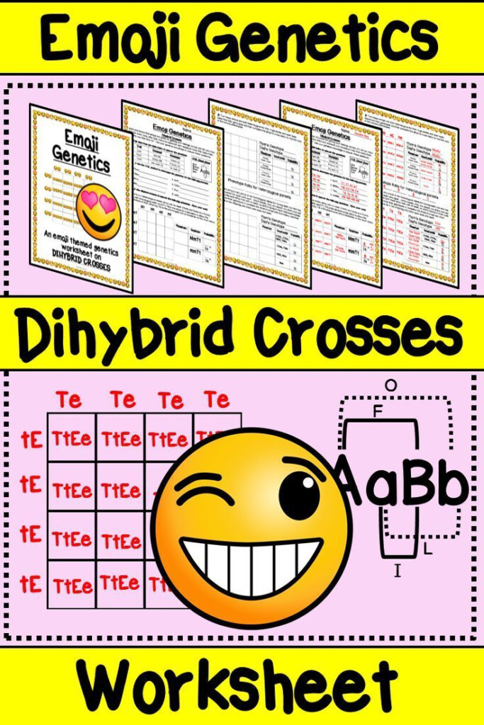 Life Science Genetics Dihybrid Crosses Worksheet Answers 