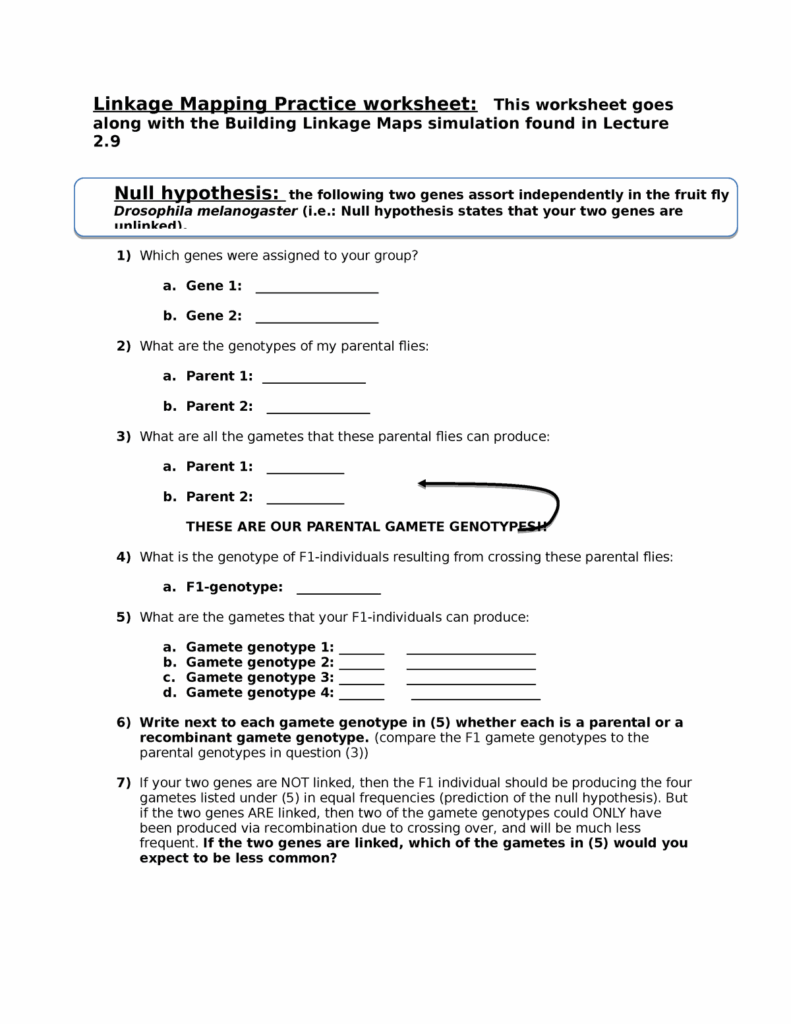Linkage Mapping Practice Worksheet Which Genes Were Assigned To 