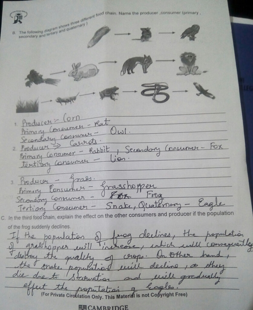 Living Things And The Environment Worksheets Answers