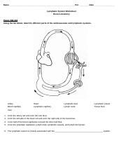 Lymphatic System Ws pdf Name Per Date Lymphatic System Worksheet 