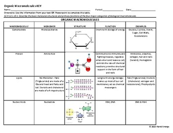 Macromolecule Worksheet KEY By Plants Emerge TPT
