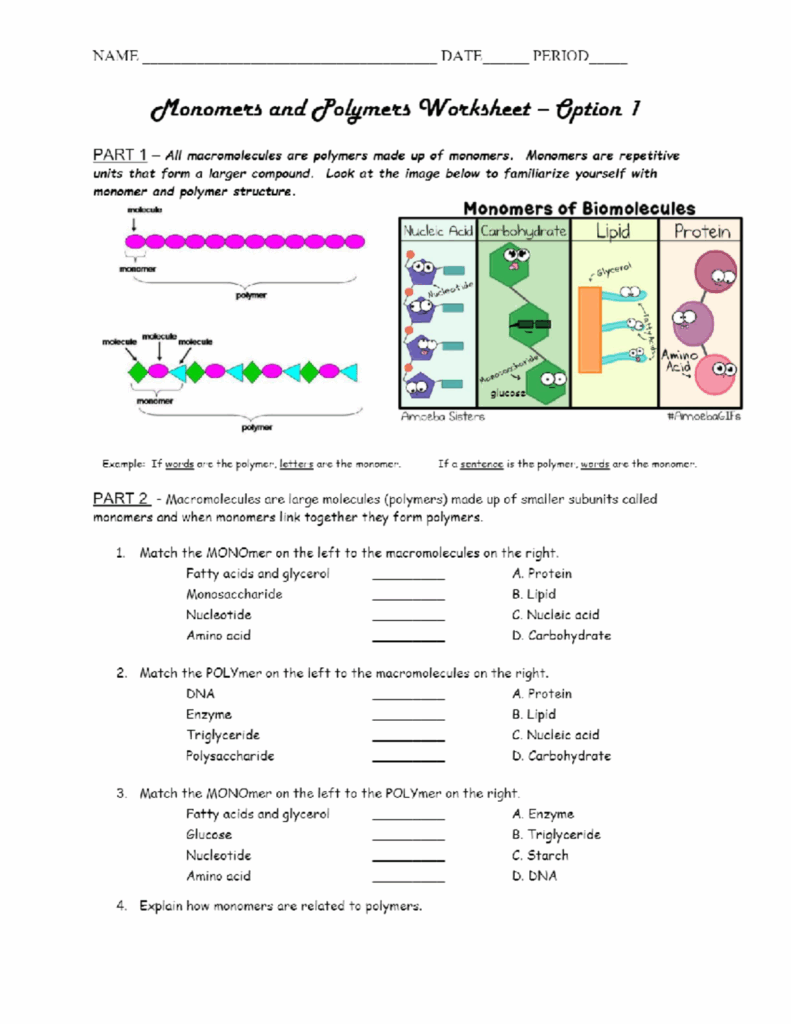 Macromolecules Worksheet Chart