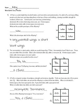 Magical Creatures Monohybrid Cross Practice Harry Potter Punnett Squares