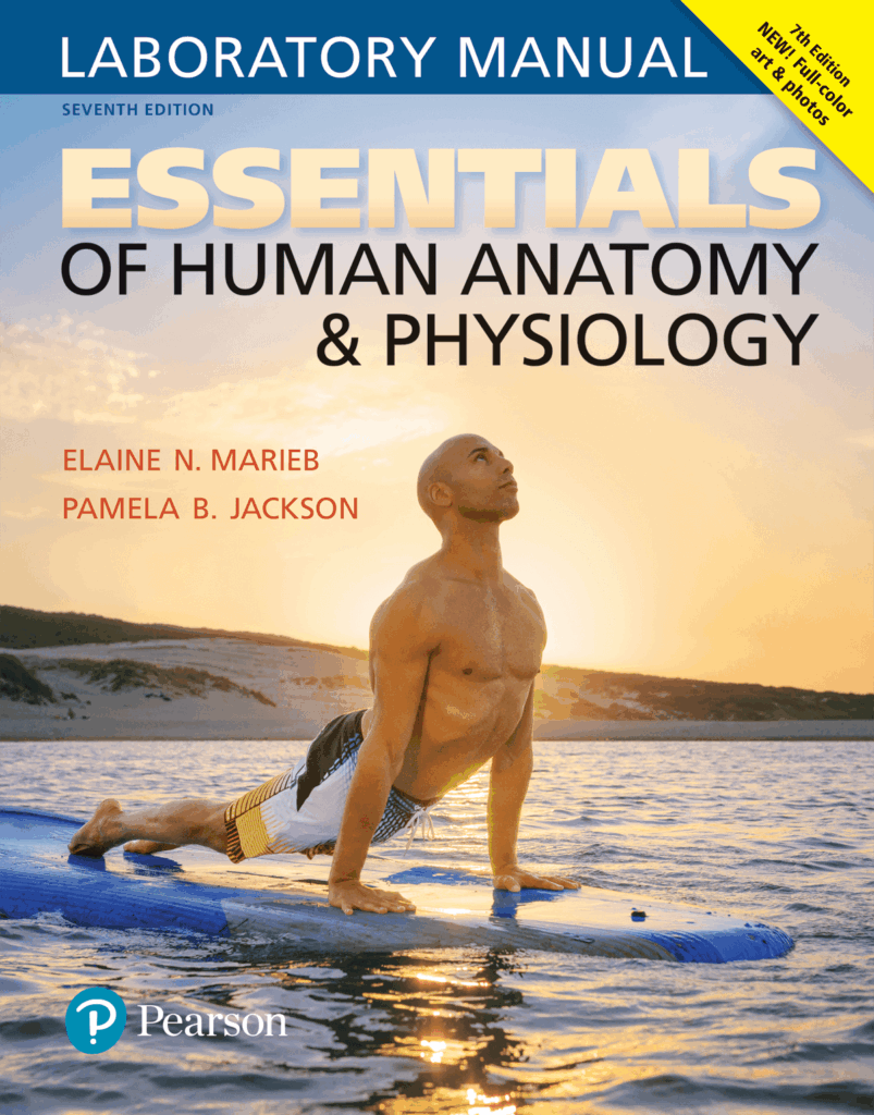 Marieb Keller Essentials Of Human Anatomy Physiology 12th Edition 