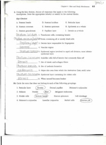 Mastering Chapter 6 Uncovering Answers In The Anatomy And Physiology