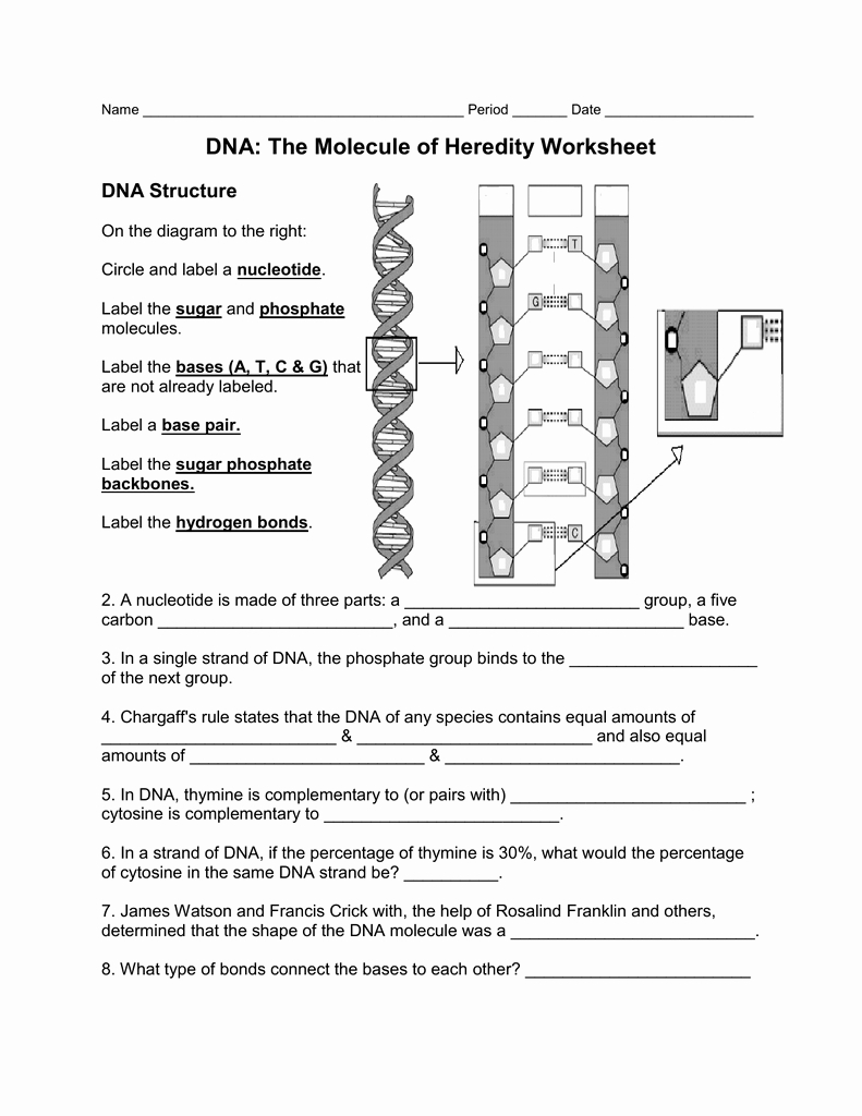Mechanisms Of Heredity Science Worksheet