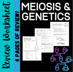 Meiosis And Genetics Review Worksheet By Biology With Brynn And Jack