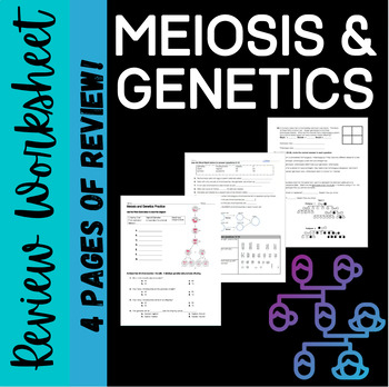 Meiosis And Genetics Review Worksheet By Biology With Brynn And Jack