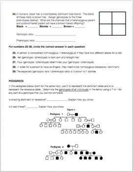 Meiosis And Genetics Review Worksheet By Biology With Brynn And Jack