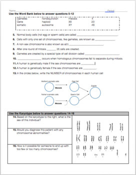 Meiosis And Genetics Review Worksheet By Biology With Brynn And Jack