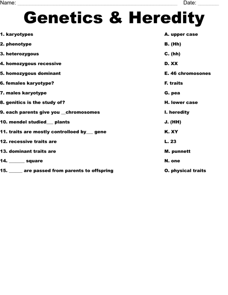 Mendel Genetics Worksheet