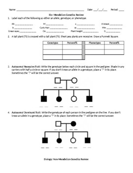 Mendel Genetics Worksheet