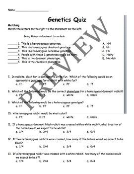 Mendelian Genetics Practice Problems By The Owl 39 s Count TPT