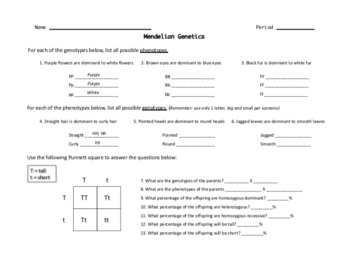 Mendelian Genetics Punnett Square Worksheet By Windham Science TpT