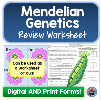 Mendelian Genetics Review Worksheets Quiz By It 39 s Not Magic It 39 s Science