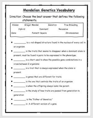 Mendelian Genetics Vocabulary Worksheet EnglishBix