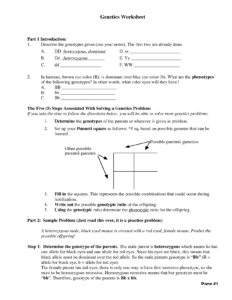 Mendelian Genetics Worksheet 2 Answer Key