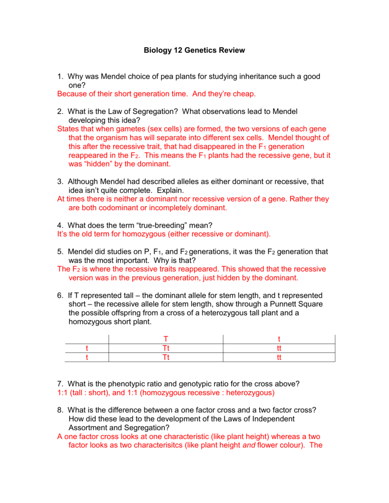 Mendelian Genetics Worksheet Answer Key E streetlight