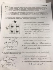 Mendelian Genetics Worksheet Answer Key Pro Worksheet