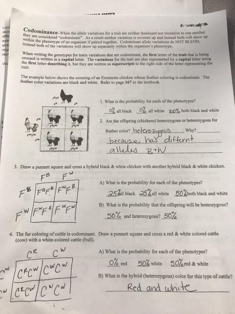 Mendelian Genetics Worksheet Answer Key Pro Worksheet