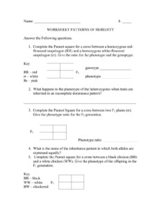 Mendelian Genetics Worksheet Answers Modes Inheritance Worksheet
