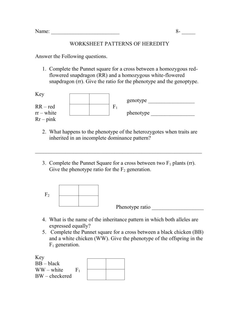 Mendelian Genetics Worksheet Answers Modes Inheritance Worksheet 