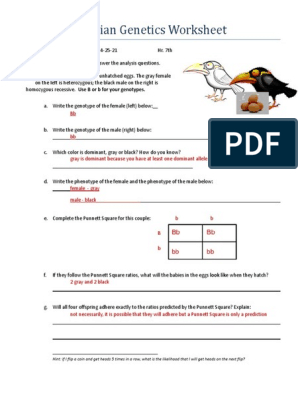 Mendelian Genetics Worksheet PDF Dominance Genetics Genotype 