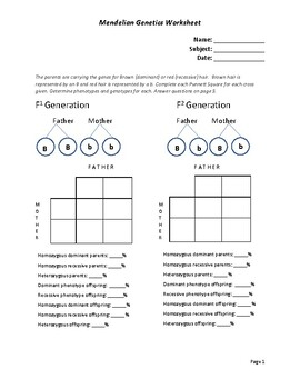 Mendelian Genetics Worksheets