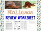 Mollusk Review Worksheet For Biology Or Zoology TPT