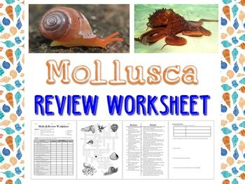 Mollusk Review Worksheet For Biology Or Zoology TpT