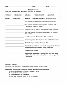 Mollusk Review Worksheet Printable Word Searches