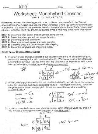 Monohybrid Cross Worksheet Edutechspot