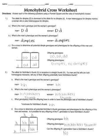 Monohybrid Cross Worksheet Edutechspot