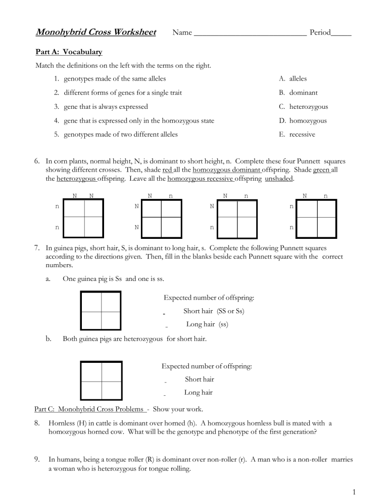 Monohybrid Cross Worksheet Genetics Practice