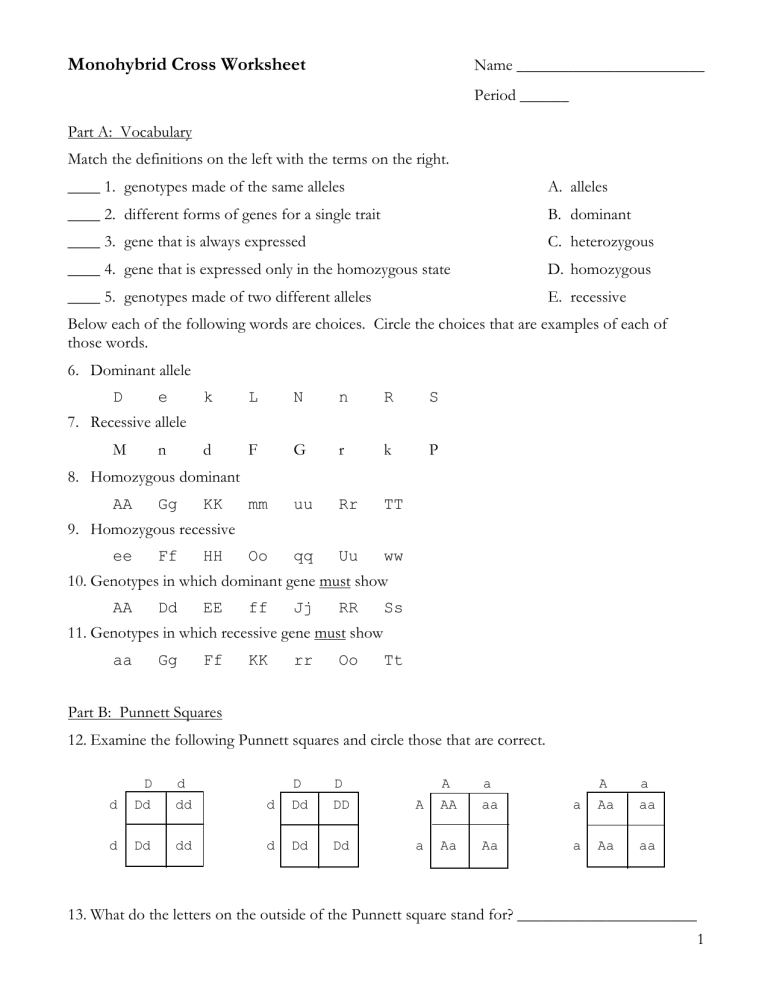 Monohybrid Cross Worksheet Genetics Practice