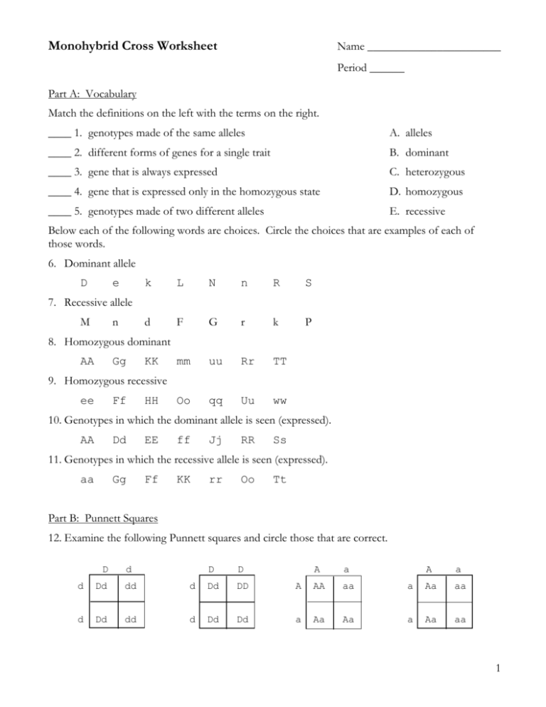 Monohybrid Cross Worksheet Genetics Practice