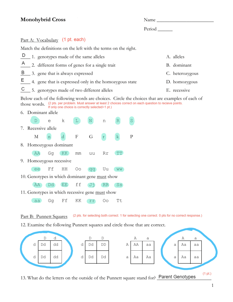 Monohybrid Cross Worksheet Genetics Practice