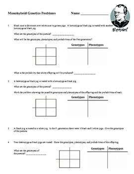 Monohybrid Punnett Square Worksheet Printable And Digital Genetics 