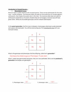 Monohybrid Worksheet Part 1 BIOL 1408 CTC Studocu Worksheets